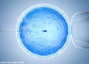 关于青碧生殖