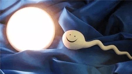 青碧生殖医学中心