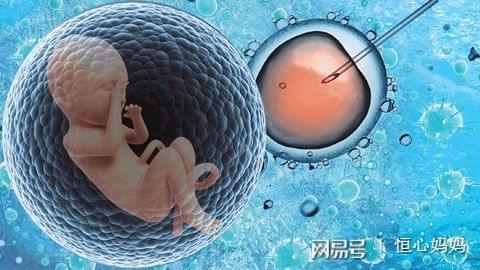 男性因素